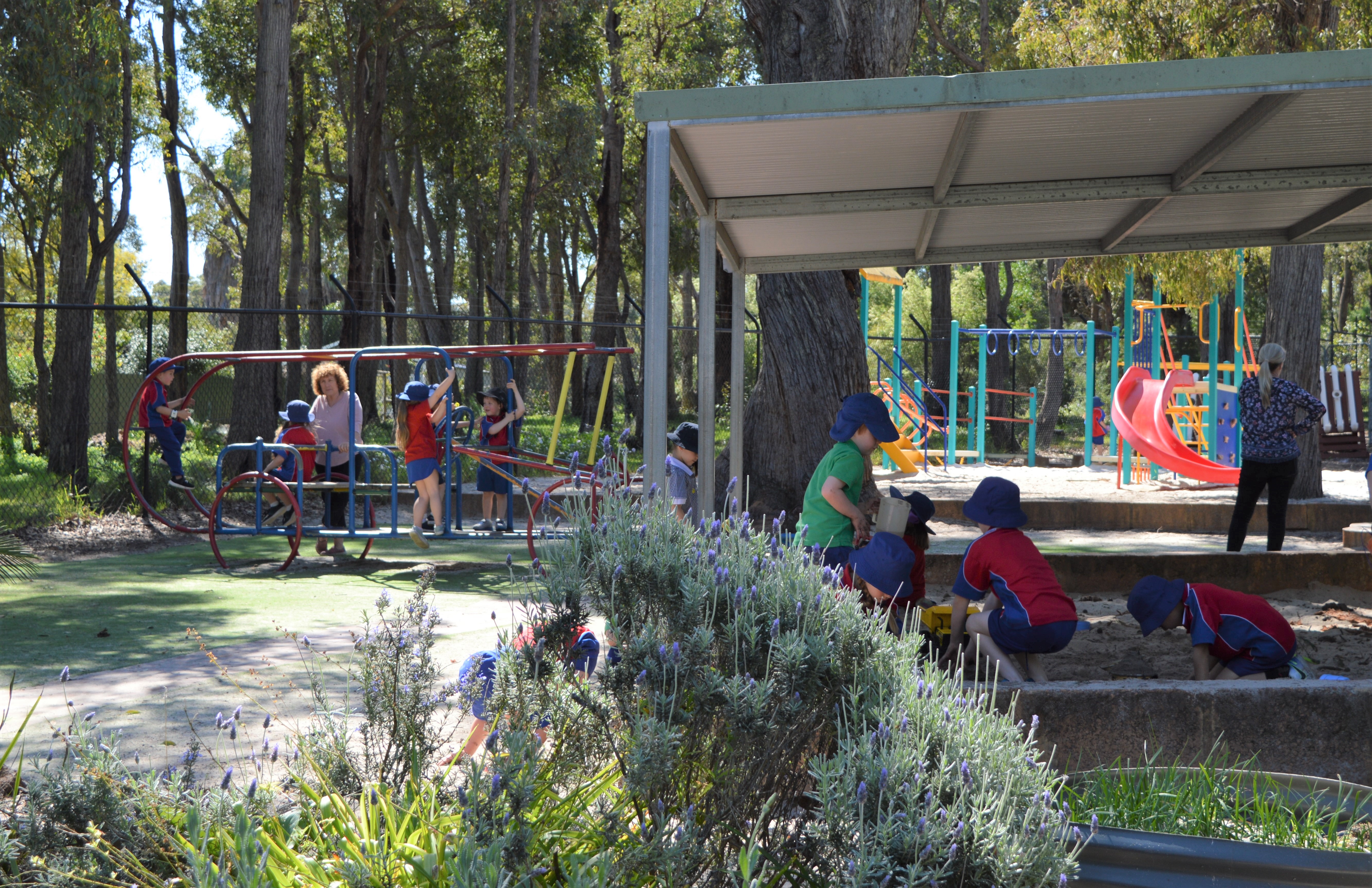 /uploaded_files/media/gallery/1589257790ECE Playground.JPG